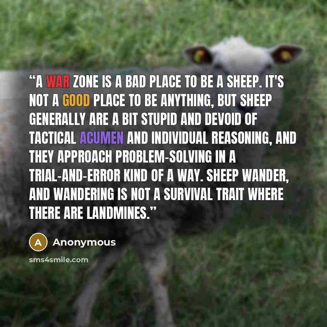 “A war zone is a bad place to be a sheep. It's not a good place to be anything, but sheep generally are a bit stupid and devoid of tactical acumen and individual reasoning, and they approach problem-solving in a trial-and-error kind of a way. Sheep wander, and wandering is not a survival trait…” quote by Anonymous