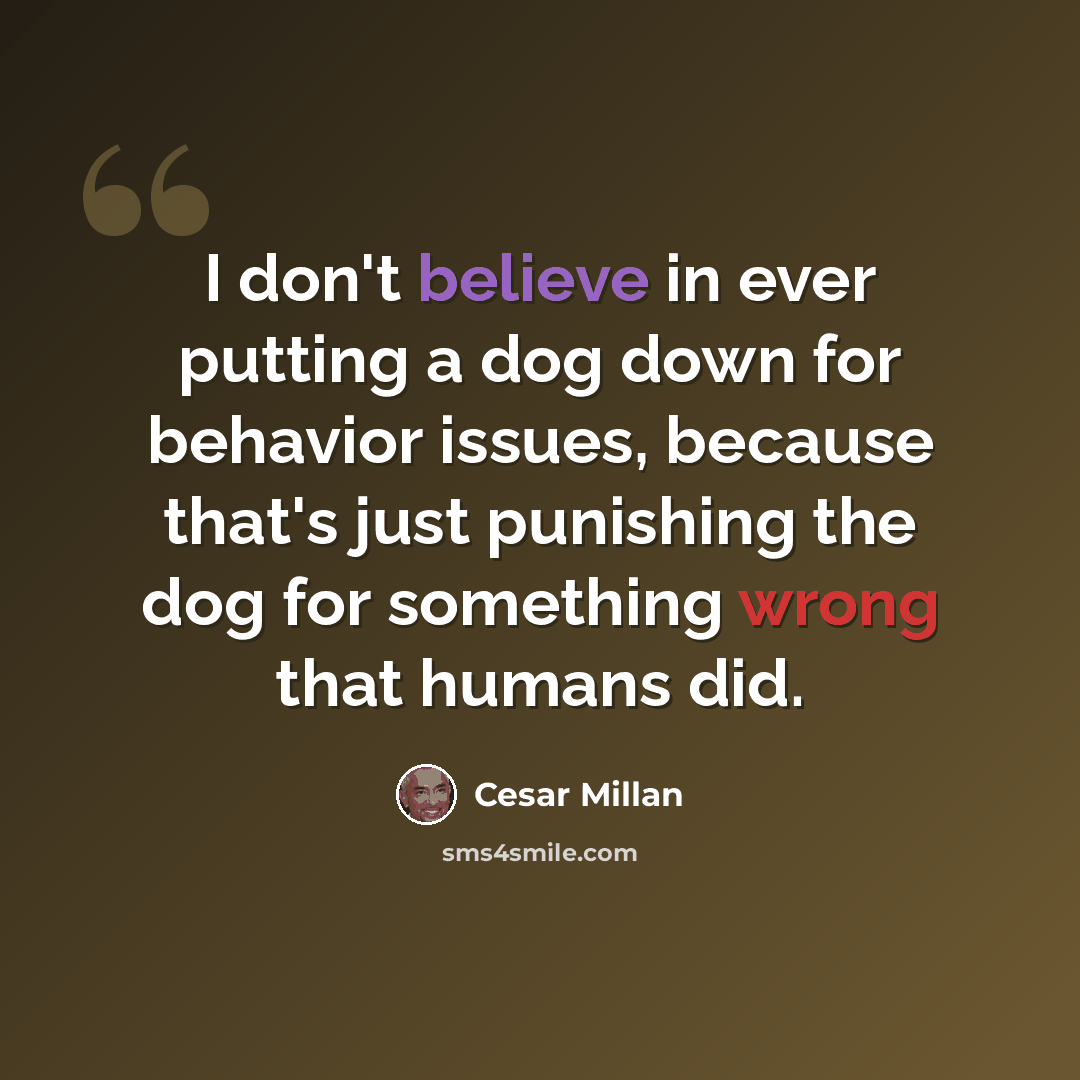 “I don't believe in ever putting a dog down for behavior issues, because that's just punishing the dog for something wrong that humans did.” quote by Cesar Millan