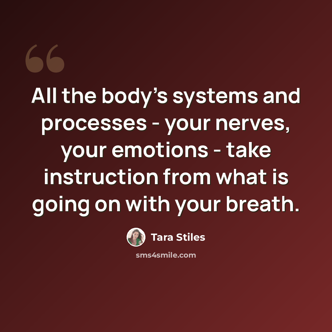“All the body's systems and processes - your nerves, your emotions - take instruction from what is going on with your breath.” quote by Tara Stiles