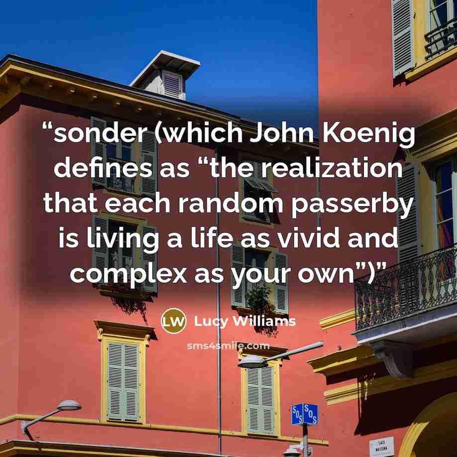 “sonder (which John Koenig defines as “the realization that each random passerby is living a life as vivid and complex as your own”)” quote by Lucy Williams