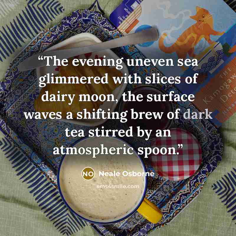 “The evening uneven sea glimmered with slices of dairy moon, the surface waves a shifting brew of dark tea stirred by an atmospheric spoon.” quote by Neale Osborne