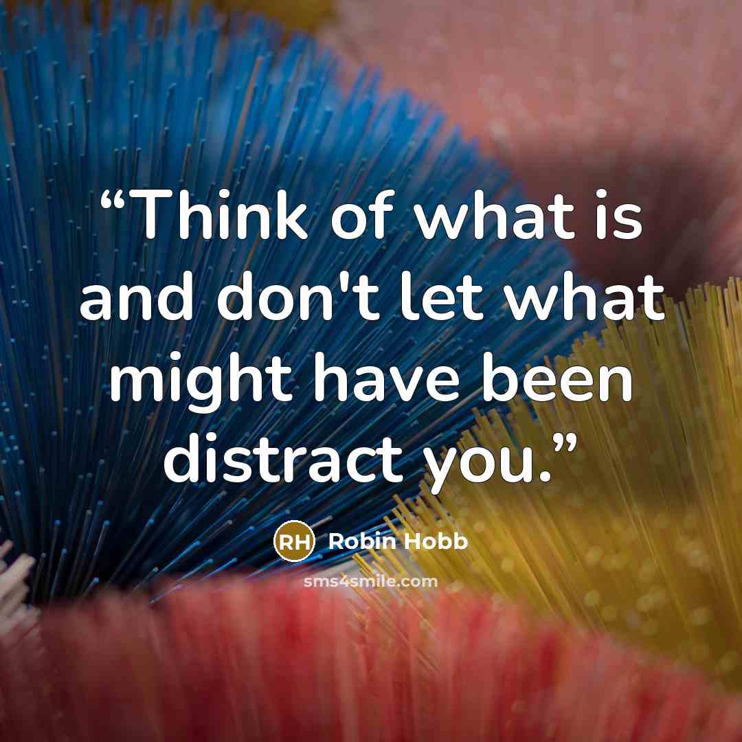 “Think of what is and don't let what might have been distract you.” quote by Robin Hobb
