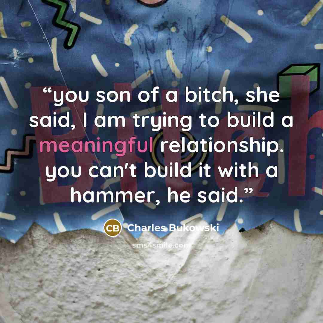 “you son of a bitch, she said, I am trying to build a meaningful relationship. you can't build it with a hammer, he said.” quote by Charles Bukowski
