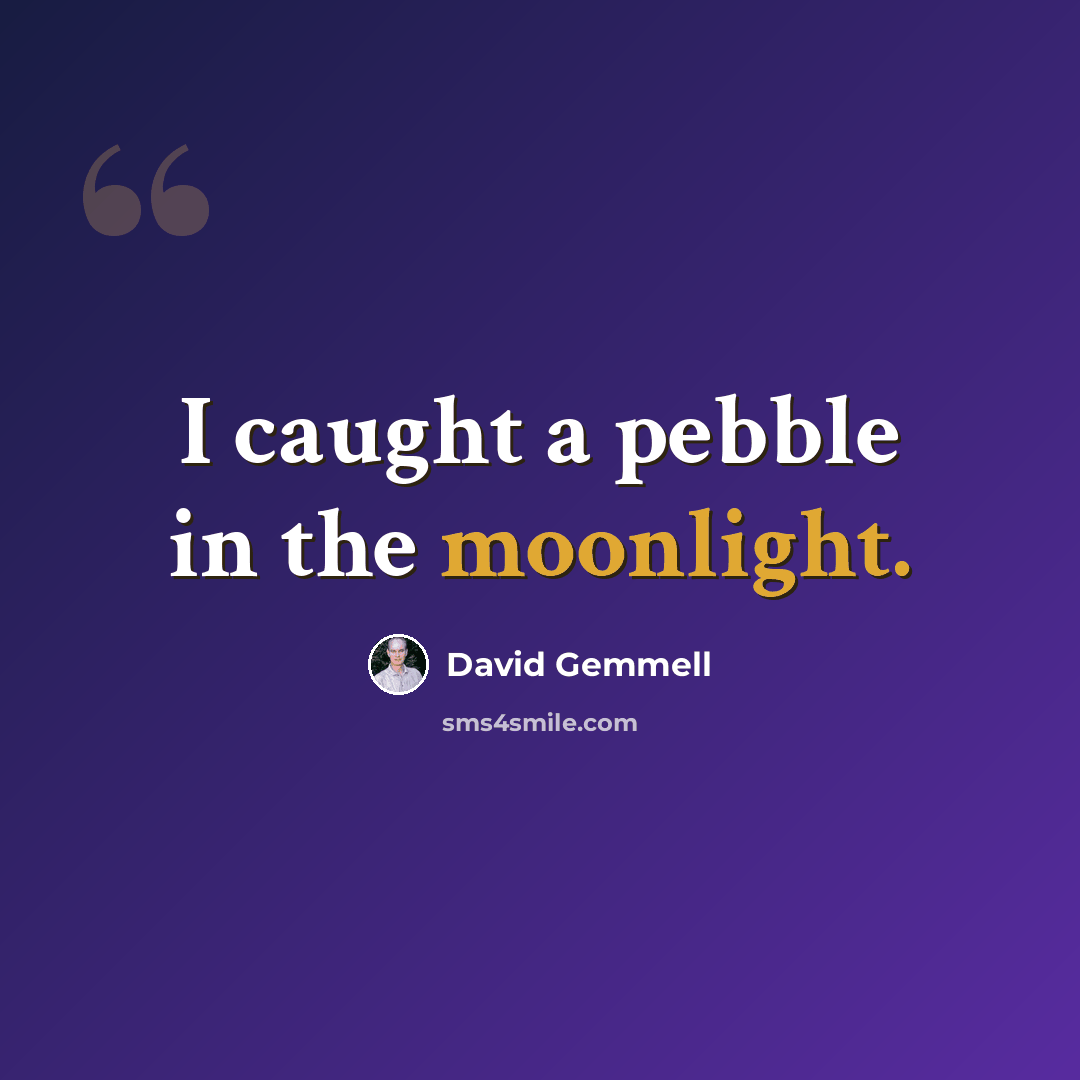 “I caught a pebble in the moonlight.” quote by David Gemmell