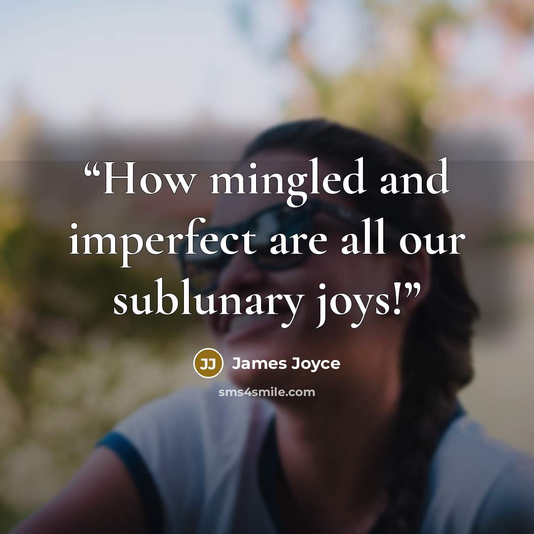 “How mingled and imperfect are all our sublunary joys!” quote by James Joyce