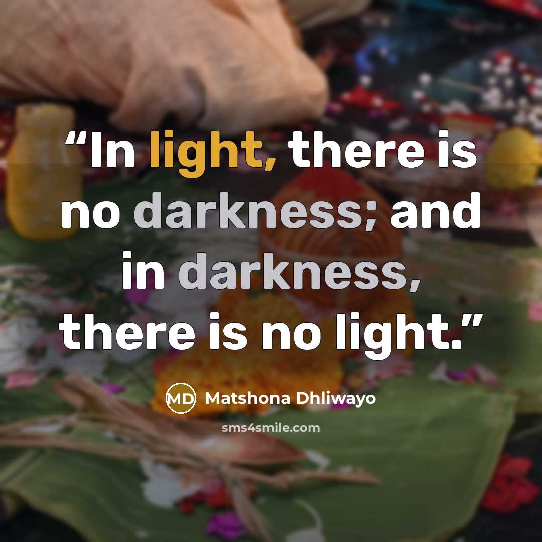 “In light, there is no darkness; and in darkness, there is no light.” quote by Matshona Dhliwayo