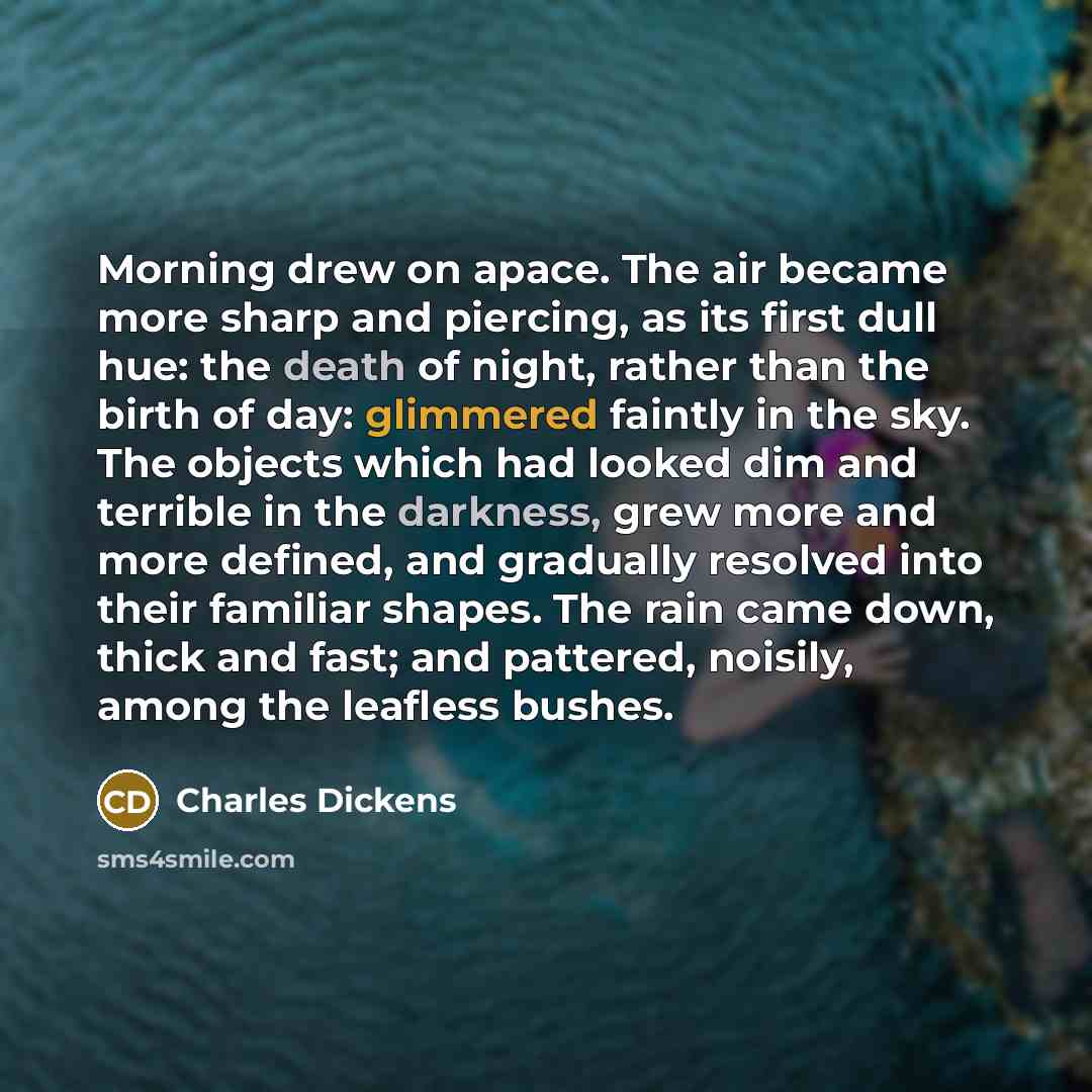 “Morning drew on apace. The air became more sharp and piercing, as its first dull hue: the death of night, rather than the birth of day: glimmered faintly in the sky. The objects which had looked dim and terrible in the darkness, grew more and more defined, and gradually resolved into their…” quote by Charles Dickens