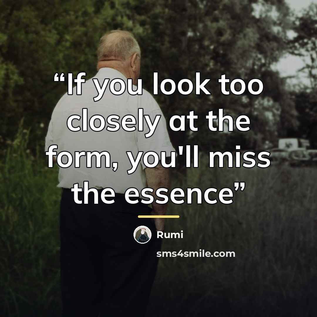 “If you look too closely at the form, you'll miss the essence” quote by Rumi
