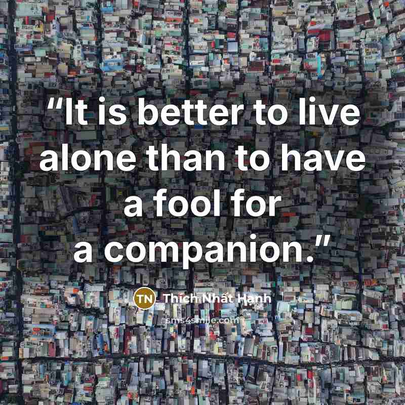 “It is better to live alone than to have a fool for a companion.” quote by Thích Nhất Hạnh