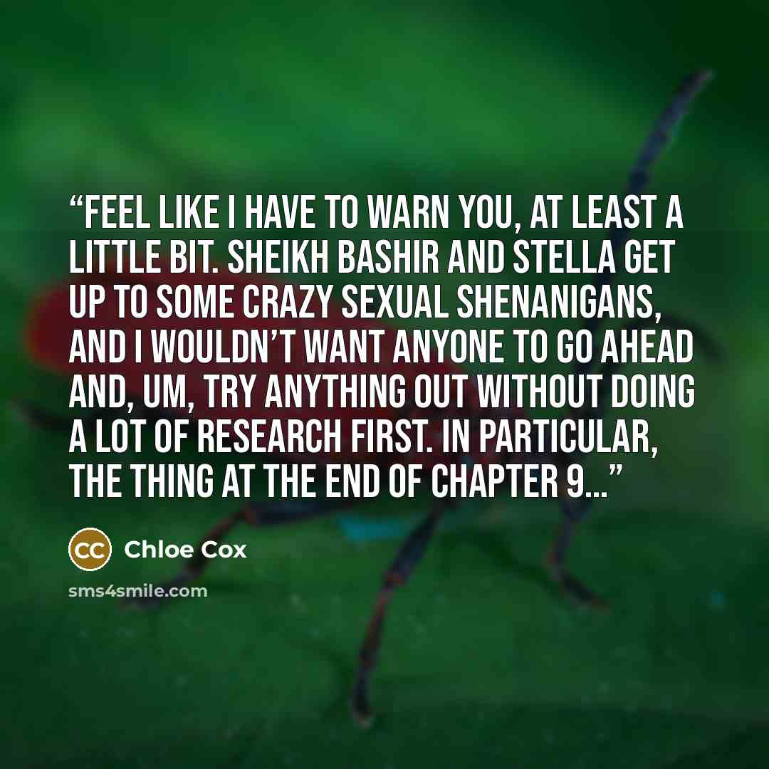 “feel like I have to warn you, at least a little bit. Sheikh Bashir and Stella get up to some crazy sexual shenanigans, and I wouldn’t want anyone to go ahead and, um, try anything out without doing a lot of research first. In particular, the thing at the end of Chapter 9…” quote by Chloe Cox