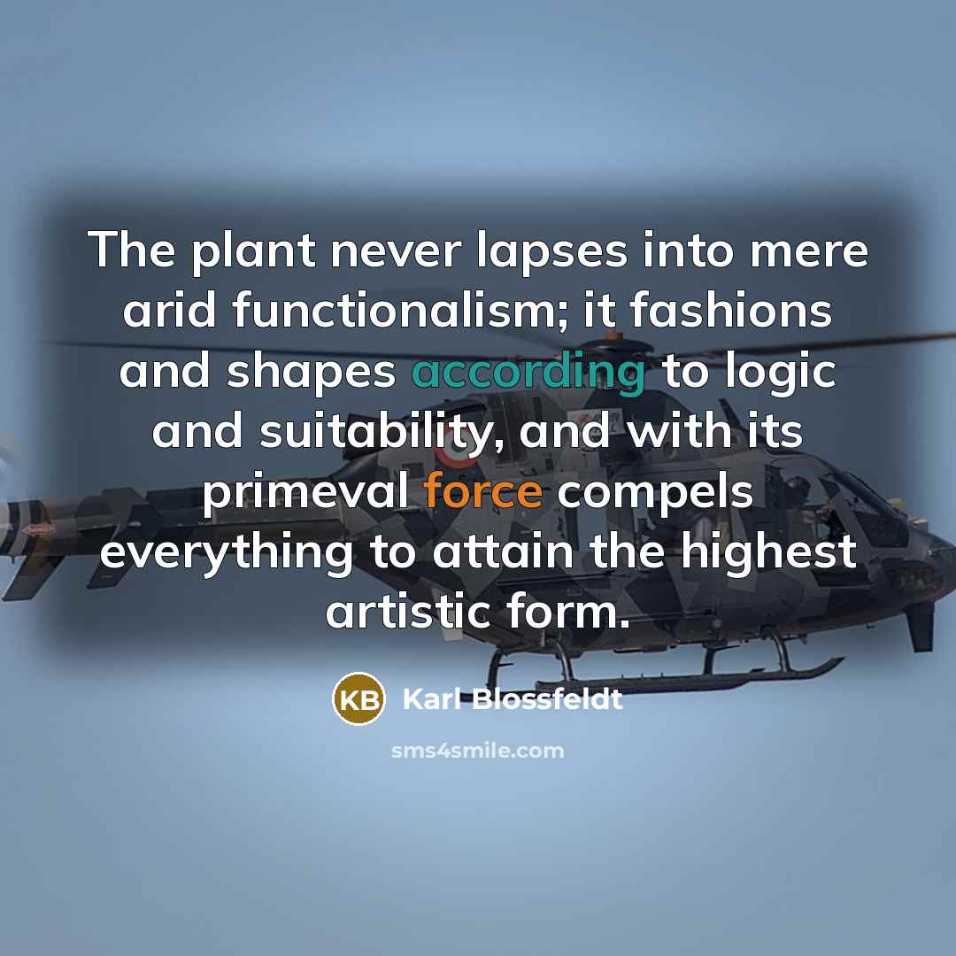 “The plant never lapses into mere arid functionalism; it fashions and shapes according to logic and suitability, and with its primeval force compels everything to attain the highest artistic form.” quote by Karl Blossfeldt