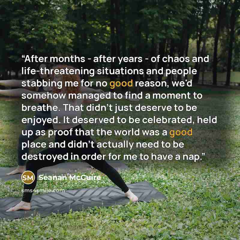 “After months - after years - of chaos and life-threatening situations and people stabbing me for no good reason, we'd somehow managed to find a moment to breathe. That didn't just deserve to be enjoyed. It deserved to be celebrated, held up as proof that the world was a good place and didn't…” quote by Seanan McGuire