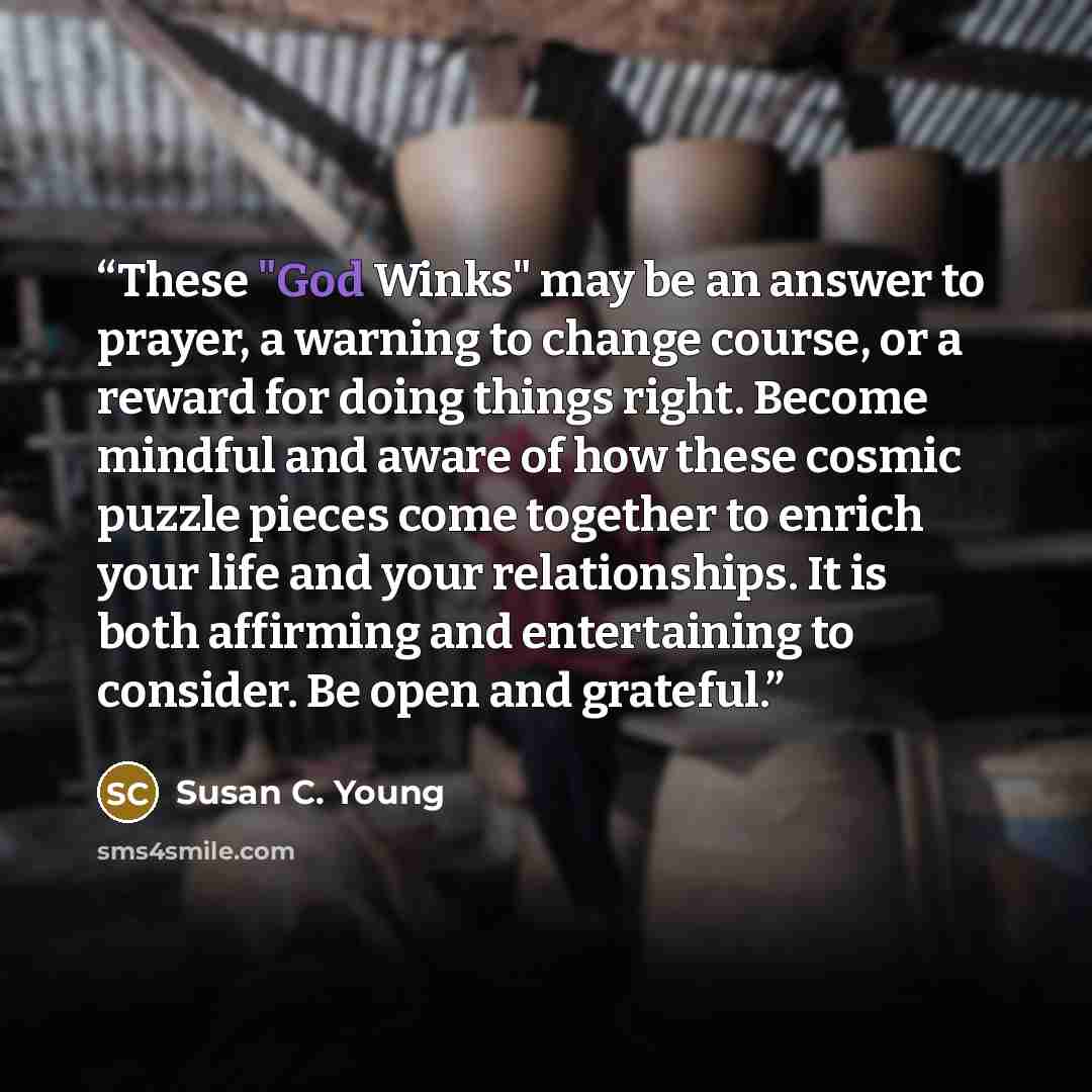 “These "God Winks" may be an answer to prayer, a warning to change course, or a reward for doing things right. Become mindful and aware of how these cosmic puzzle pieces come together to enrich your life and your relationships. It is both affirming and entertaining to consider. Be open and grateful.” quote by Susan C. Young