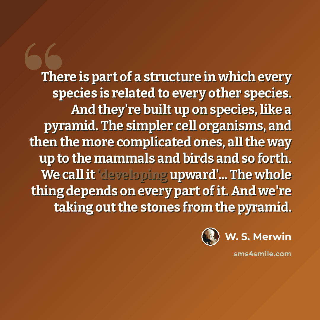 “There is part of a structure in which every species is related to every other species. And they're built up on species, like a pyramid. The simpler cell organisms, and then the more complicated ones, all the way up to the mammals and birds and so forth. We call it 'developing upward'... The whole…” quote by W. S. Merwin
