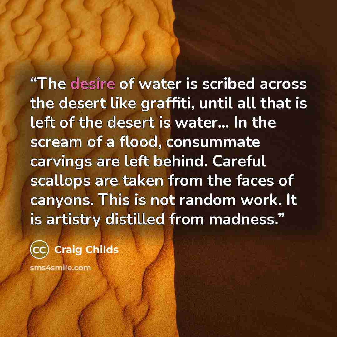 “The desire of water is scribed across the desert like graffiti, until all that is left of the desert is water… In the scream of a flood, consummate carvings are left behind. Careful scallops are taken from the faces of canyons. This is not random work. It is artistry distilled from madness.” quote by Craig Childs
