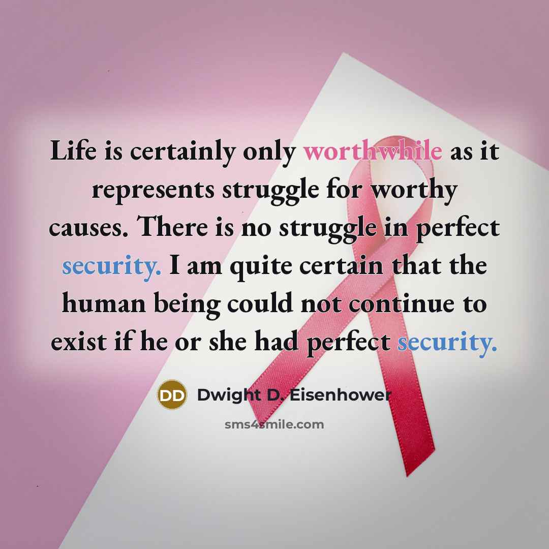 “Life is certainly only worthwhile as it represents struggle for worthy causes. There is no struggle in perfect security. I am quite certain that the human being could not continue to exist if he or she had perfect security.” quote by Dwight D. Eisenhower