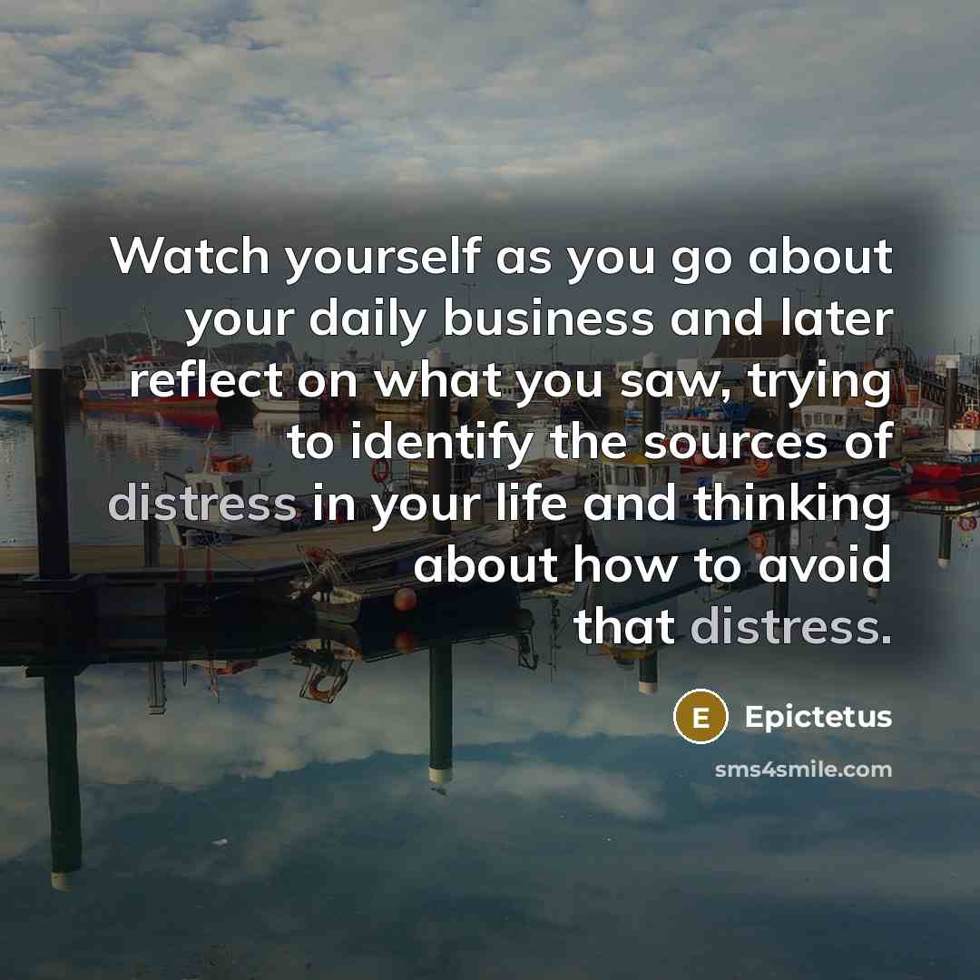 “Watch yourself as you go about your daily business and later reflect on what you saw, trying to identify the sources of distress in your life and thinking about how to avoid that distress.” quote by Epictetus