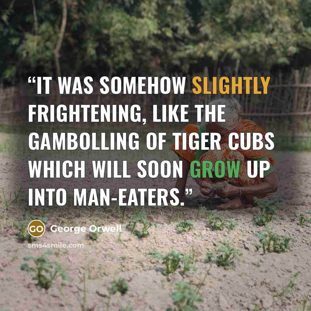“It was somehow slightly frightening, like the gambolling of tiger cubs which will soon grow up into man-eaters.” quote by George Orwell
