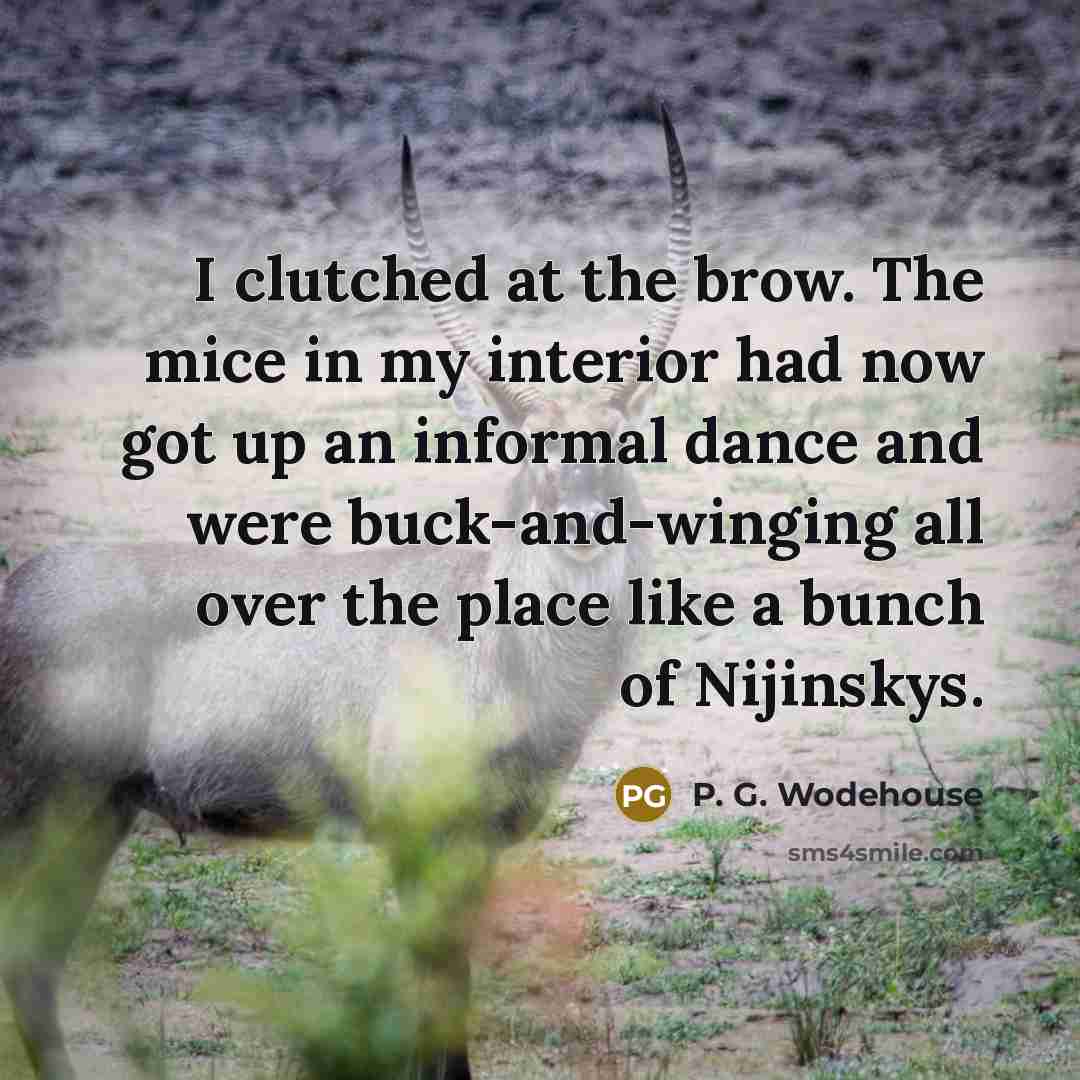 “I clutched at the brow. The mice in my interior had now got up an informal dance and were buck-and-winging all over the place like a bunch of Nijinskys.” quote by P. G. Wodehouse