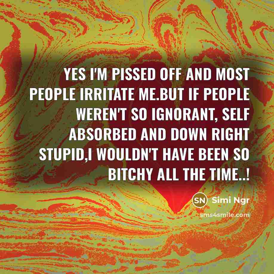 “Yes I'm pissed off and most people irritate me.But if people weren't so ignorant, self absorbed and down right stupid,i wouldn't have been so bitchy all the time..!” quote by Simi Ngr