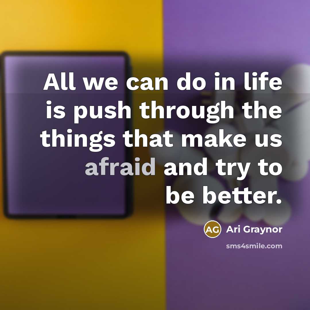 “All we can do in life is push through the things that make us afraid and try to be better.” quote by Ari Graynor
