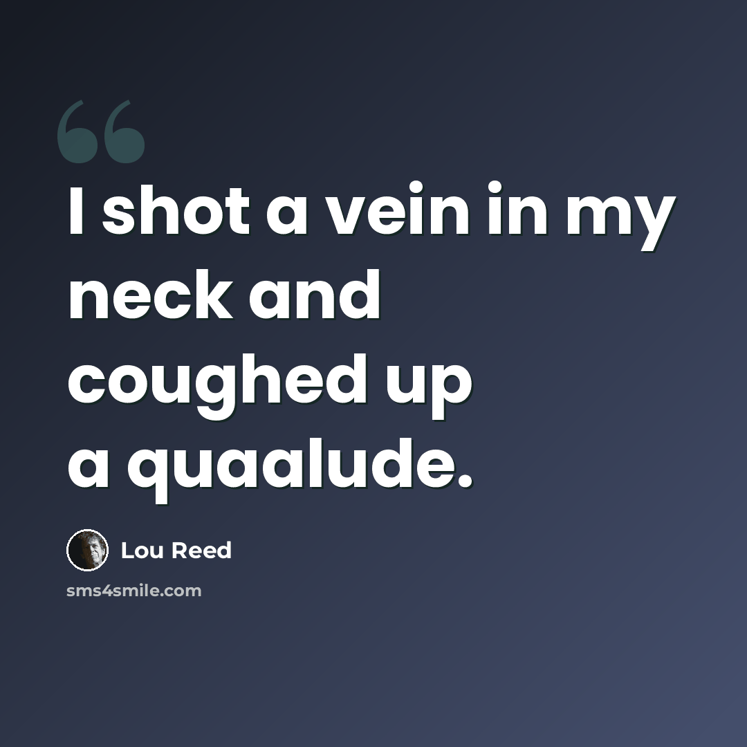 “I shot a vein in my neck and coughed up a quaalude.” quote by Lou Reed