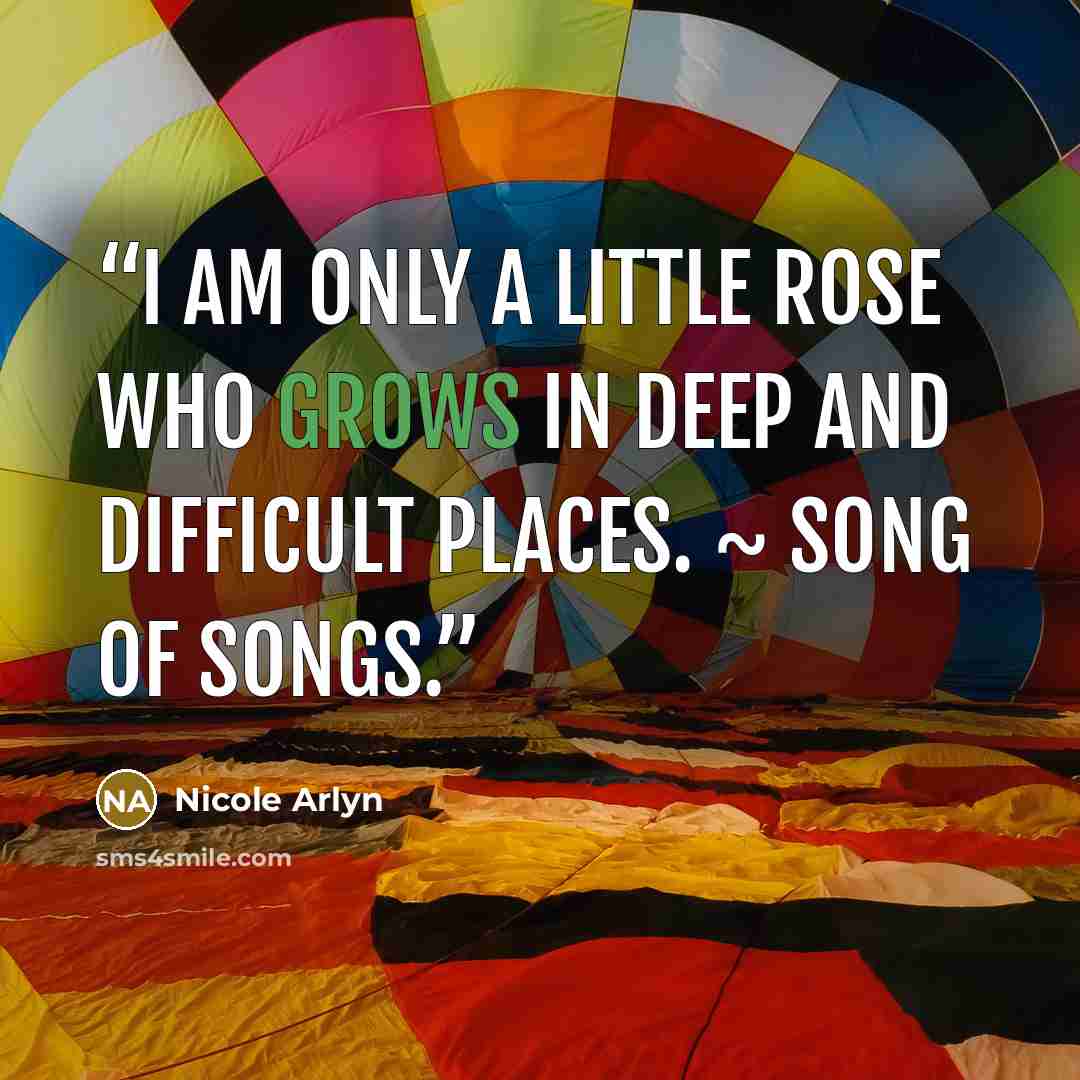 “I am only a little rose who grows in deep and difficult places. ~ Song of Songs.” quote by Nicole Arlyn