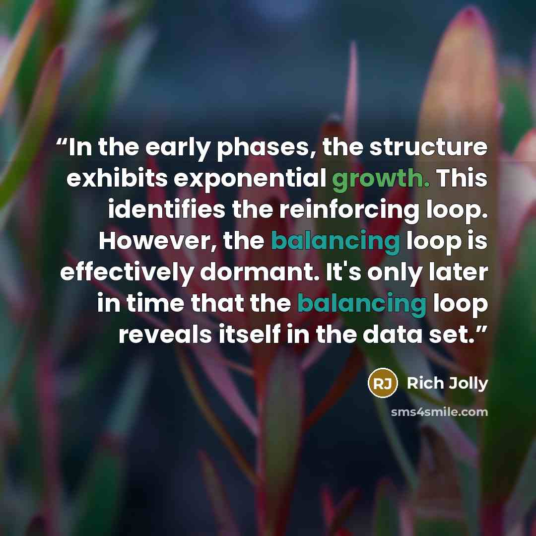 “In the early phases, the structure exhibits exponential growth. This identifies the reinforcing loop. However, the balancing loop is effectively dormant. It's only later in time that the balancing loop reveals itself in the data set.” quote by Rich Jolly