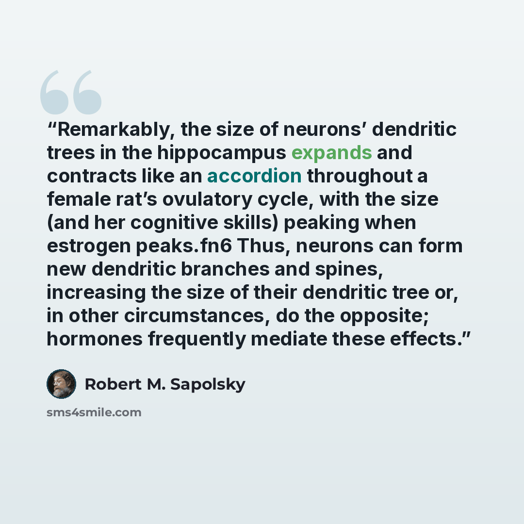 “Remarkably, the size of neurons’ dendritic trees in the hippocampus expands and contracts like an accordion throughout a female rat’s ovulatory cycle, with the size (and her cognitive skills) peaking when estrogen peaks.fn6 Thus, neurons can form new dendritic branches and spines, increasing the…” quote by Robert M. Sapolsky