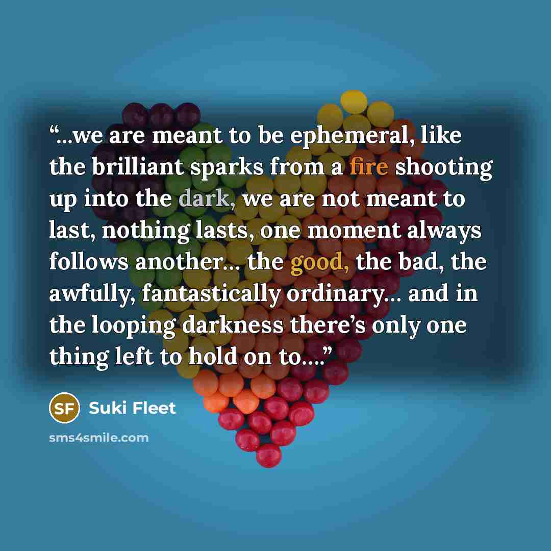 “...we are meant to be ephemeral, like the brilliant sparks from a fire shooting up into the dark, we are not meant to last, nothing lasts, one moment always follows another… the good, the bad, the awfully, fantastically ordinary… and in the looping darkness there’s only one thing left to hold on…” quote by Suki Fleet