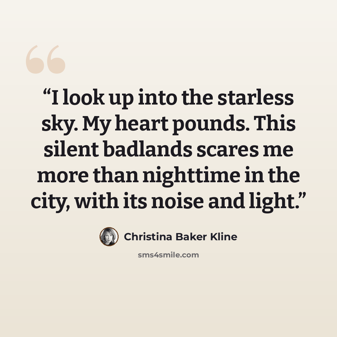 “I look up into the starless sky. My heart pounds. This silent badlands scares me more than nighttime in the city, with its noise and light.” quote by Christina Baker Kline