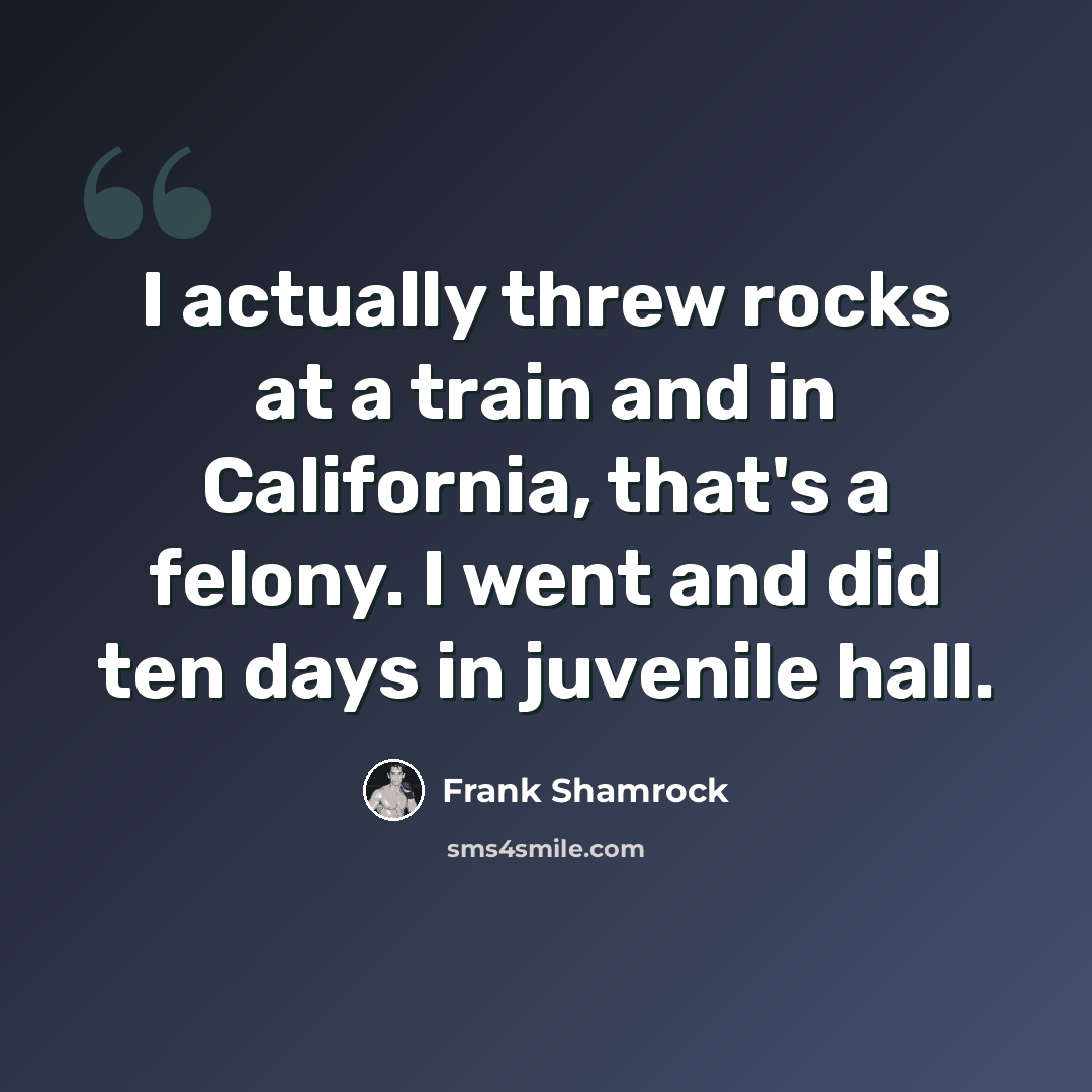 “I actually threw rocks at a train and in California, that's a felony. I went and did ten days in juvenile hall.” quote by Frank Shamrock