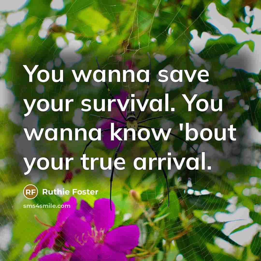 “You wanna save your survival. You wanna know 'bout your true arrival.” quote by Ruthie Foster