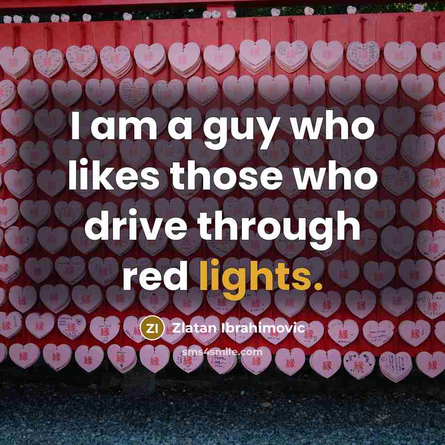 “I am a guy who likes those who drive through red lights.” quote by Zlatan Ibrahimovic