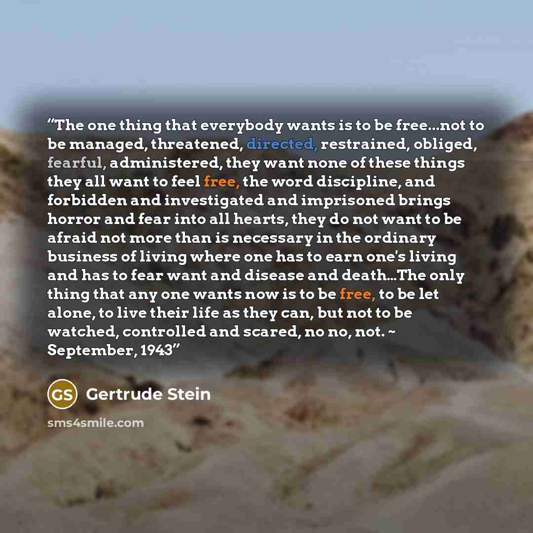 “The one thing that everybody wants is to be free...not to be managed, threatened, directed, restrained, obliged, fearful, administered, they want none of these things they all want to feel free, the word discipline, and forbidden and investigated and imprisoned brings horror and fear into all…” quote by Gertrude Stein