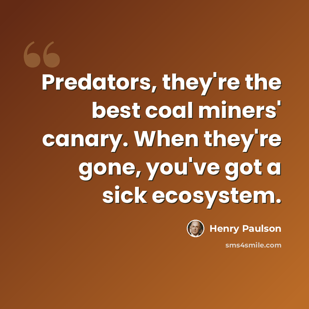 “Predators, they're the best coal miners' canary. When they're gone, you've got a sick ecosystem.” quote by Henry Paulson