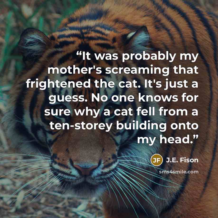 “It was probably my mother's screaming that frightened the cat. It's just a guess. No one knows for sure why a cat fell from a ten-storey building onto my head.” quote by J.E. Fison
