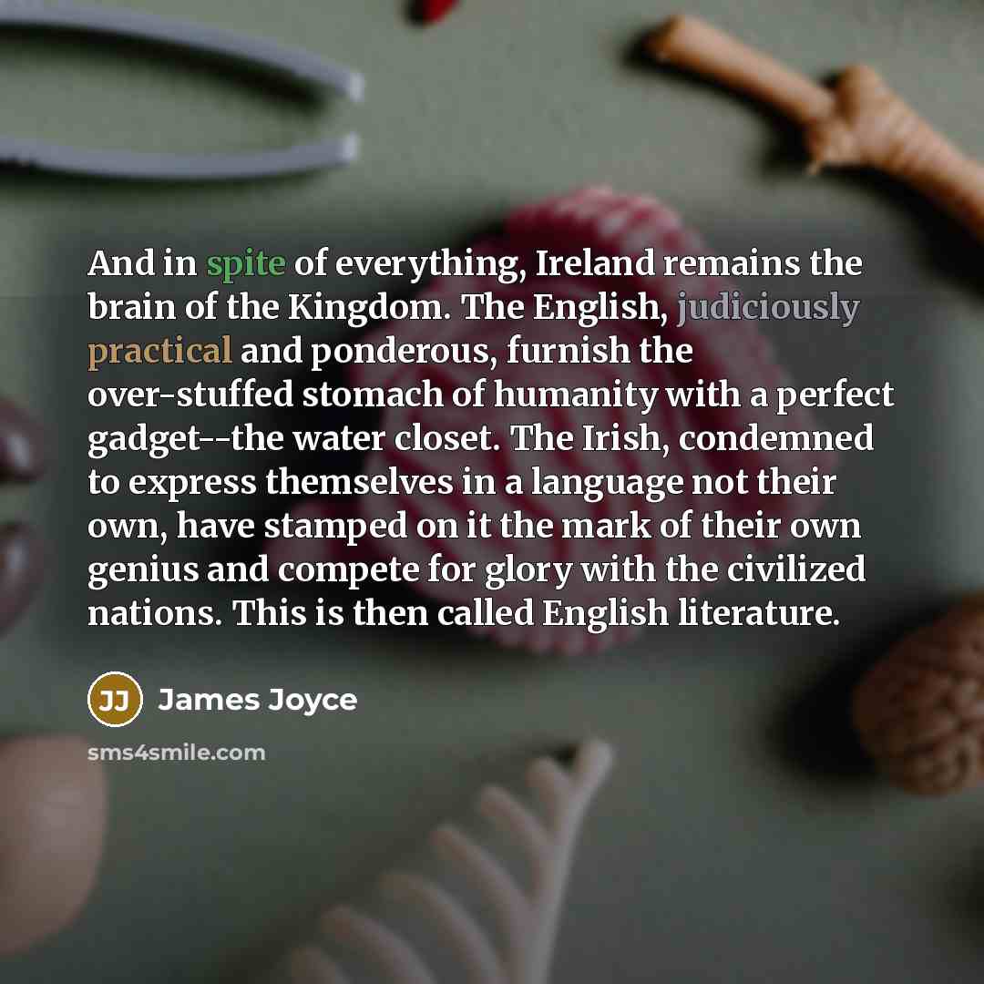 “And in spite of everything, Ireland remains the brain of the Kingdom. The English, judiciously practical and ponderous, furnish the over-stuffed stomach of humanity with a perfect gadget--the water closet. The Irish, condemned to express themselves in a language not their own, have stamped on it…” quote by James Joyce