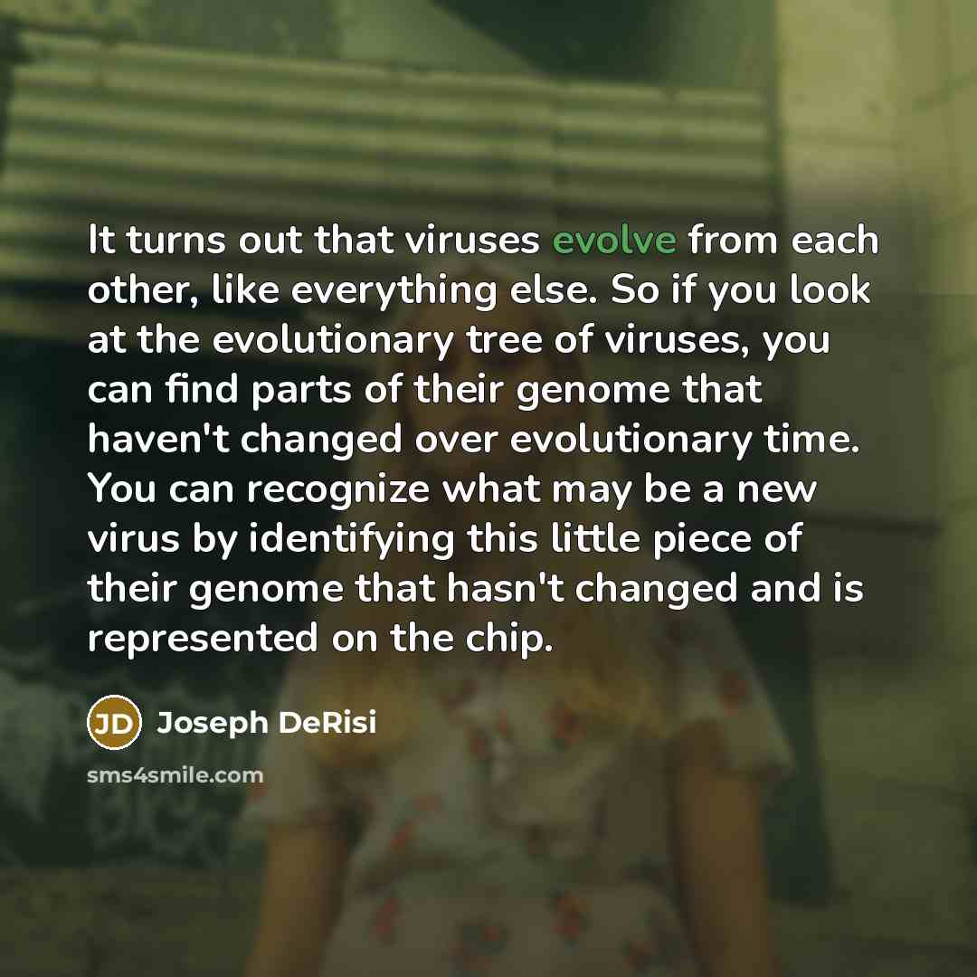 “It turns out that viruses evolve from each other, like everything else. So if you look at the evolutionary tree of viruses, you can find parts of their genome that haven't changed over evolutionary time. You can recognize what may be a new virus by identifying this little piece of their genome…” quote by Joseph DeRisi