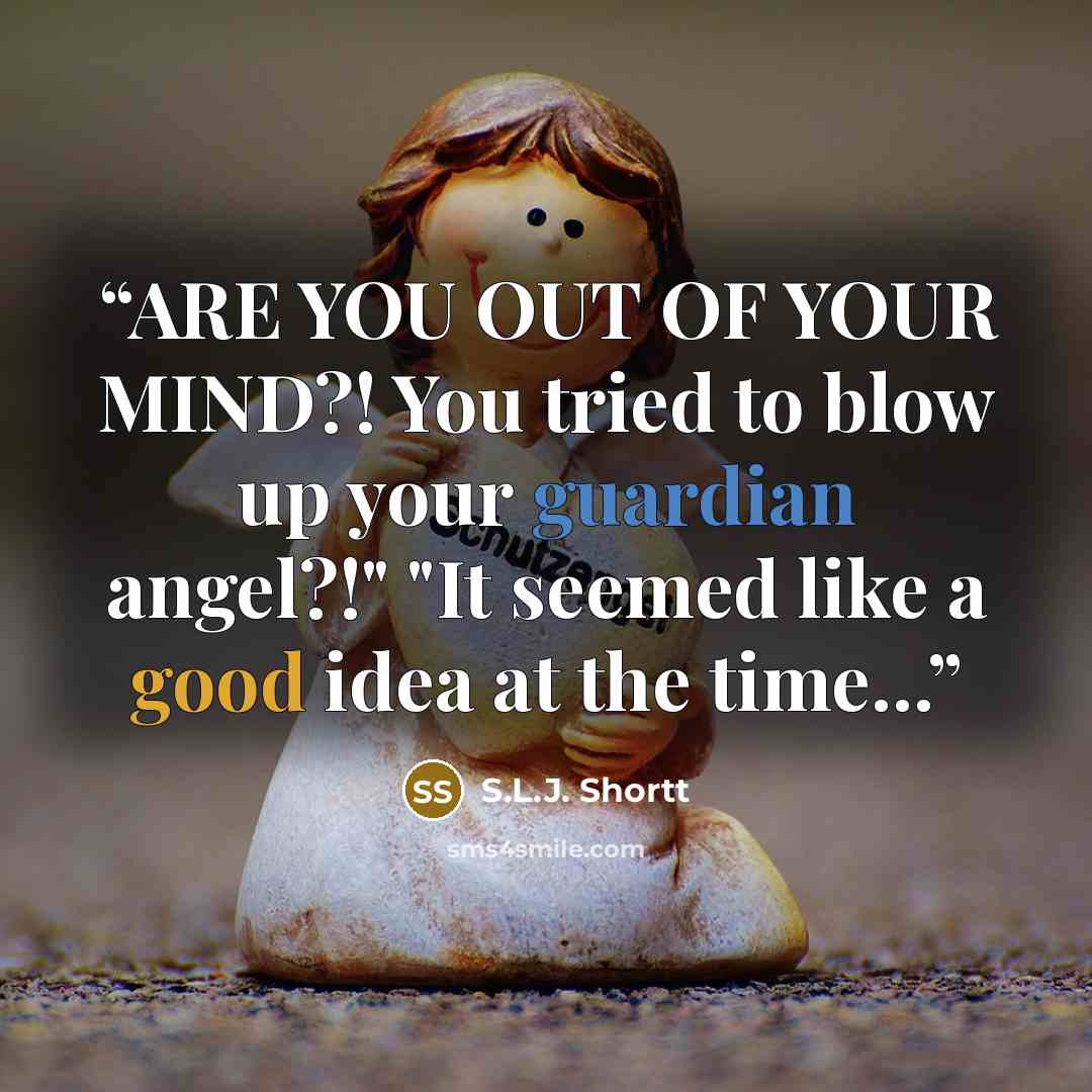 “ARE YOU OUT OF YOUR MIND?! You tried to blow up your guardian angel?!" "It seemed like a good idea at the time...” quote by S.L.J. Shortt