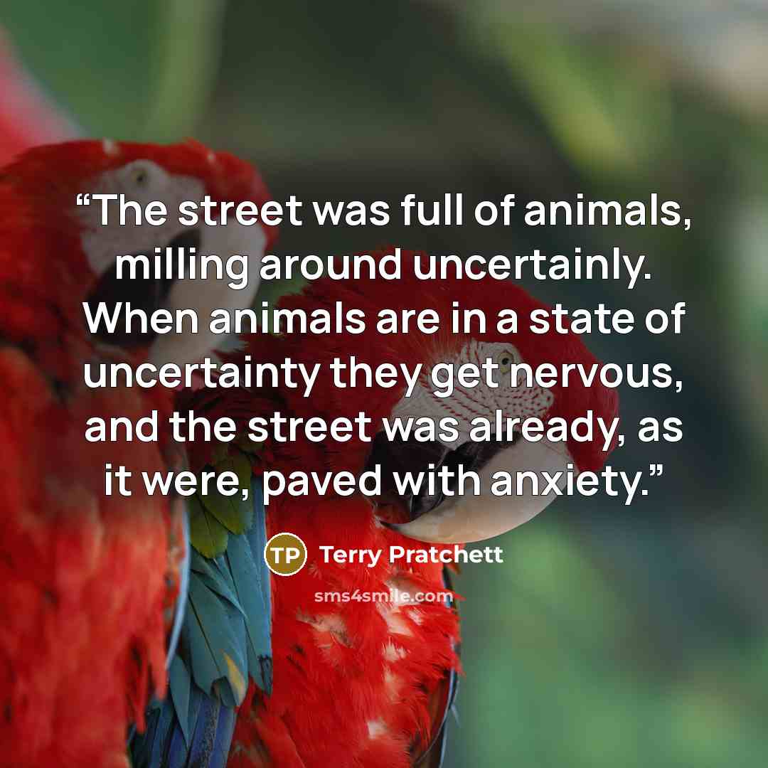 “The street was full of animals, milling around uncertainly. When animals are in a state of uncertainty they get nervous, and the street was already, as it were, paved with anxiety.” quote by Terry Pratchett