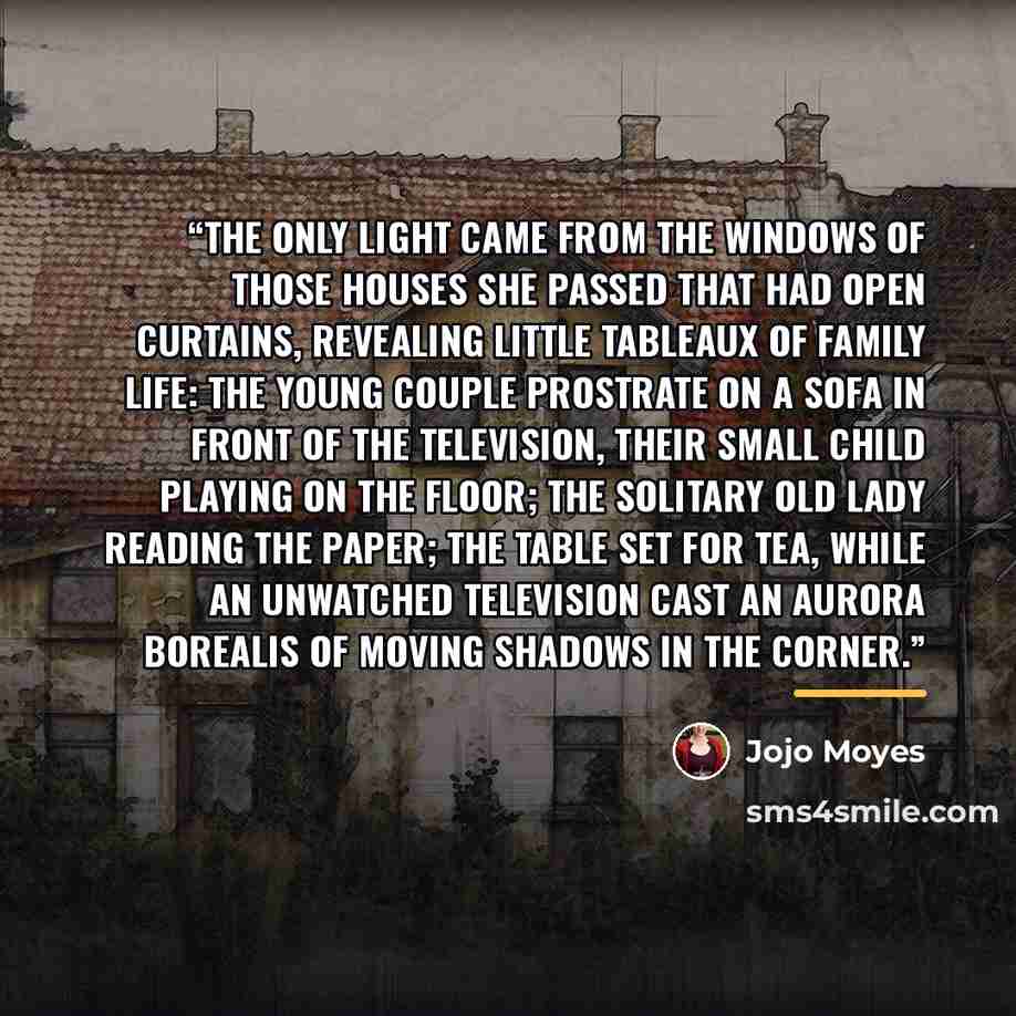 “The only light came from the windows of those houses she passed that had open curtains, revealing little tableaux of family life: the young couple prostrate on a sofa in front of the television, their small child playing on the floor; the solitary old lady reading the paper; the table set for tea…” quote by Jojo Moyes