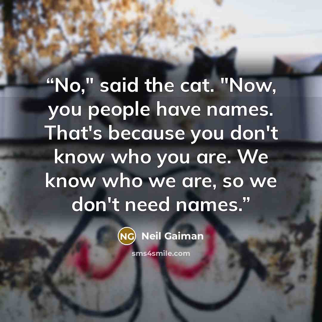 “No," said the cat. "Now, you people have names. That's because you don't know who you are. We know who we are, so we don't need names.” quote by Neil Gaiman