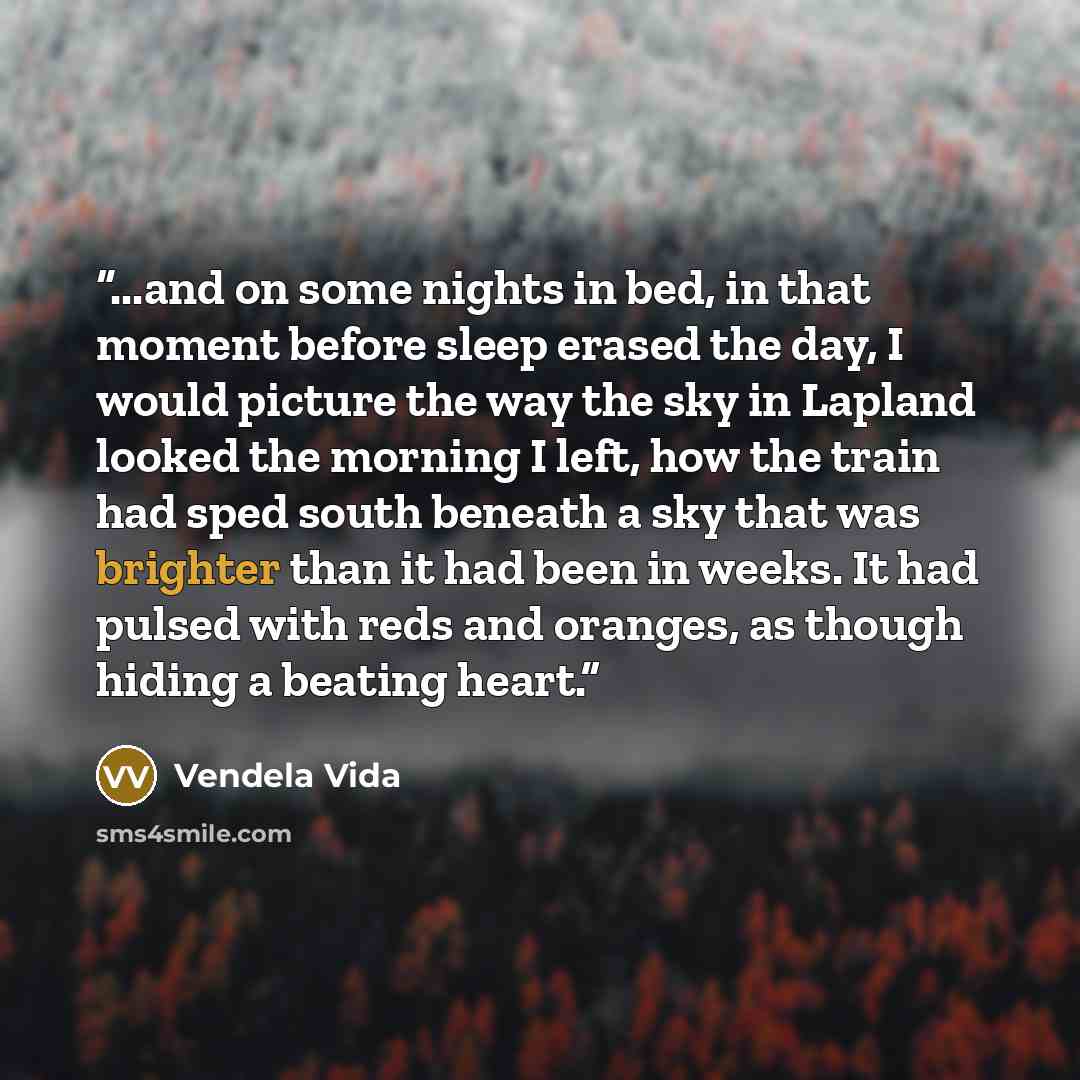 “...and on some nights in bed, in that moment before sleep erased the day, I would picture the way the sky in Lapland looked the morning I left, how the train had sped south beneath a sky that was brighter than it had been in weeks. It had pulsed with reds and oranges, as though hiding a beating…” quote by Vendela Vida