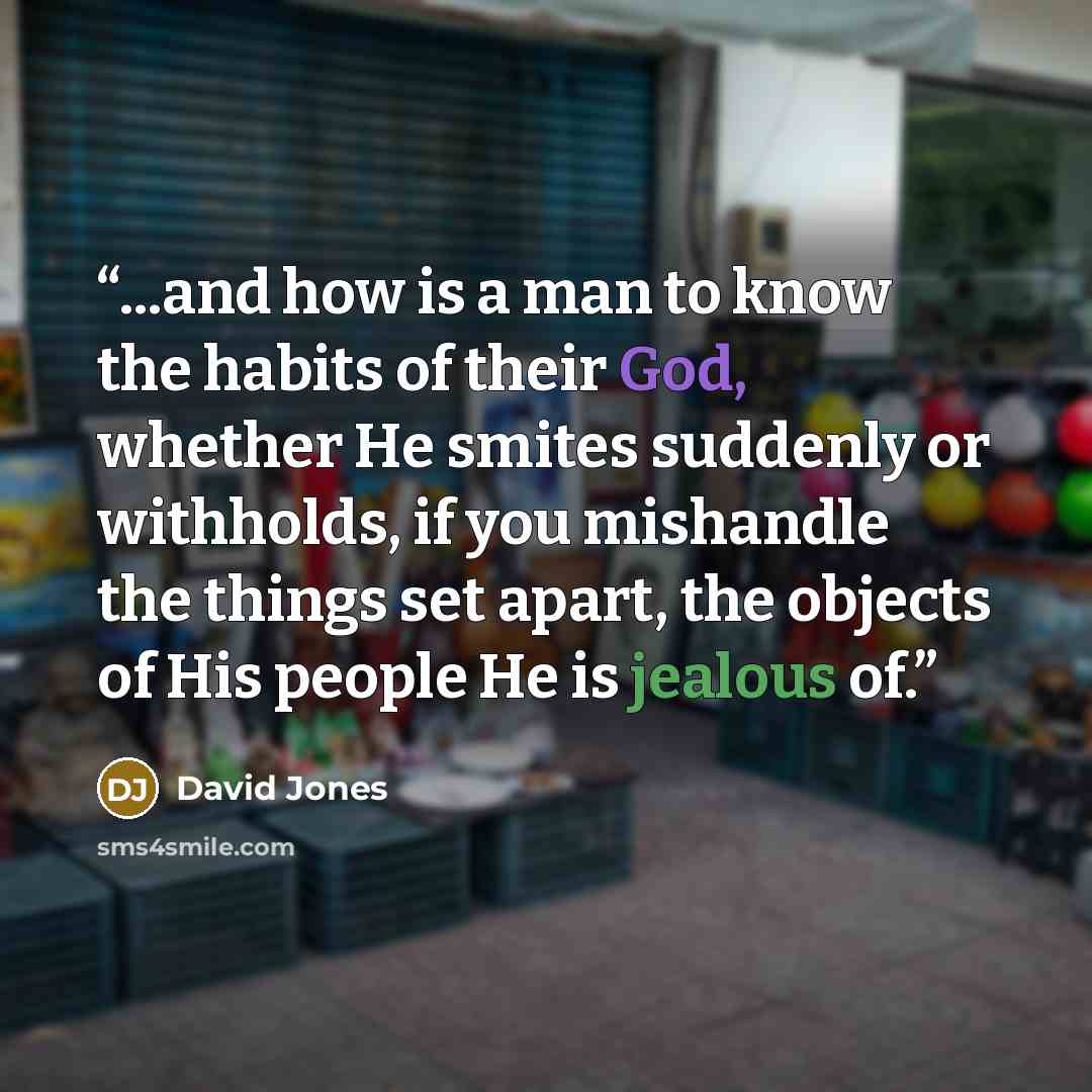 “...and how is a man to know the habits of their God, whether He smites suddenly or withholds, if you mishandle the things set apart, the objects of His people He is jealous of.” quote by David Jones