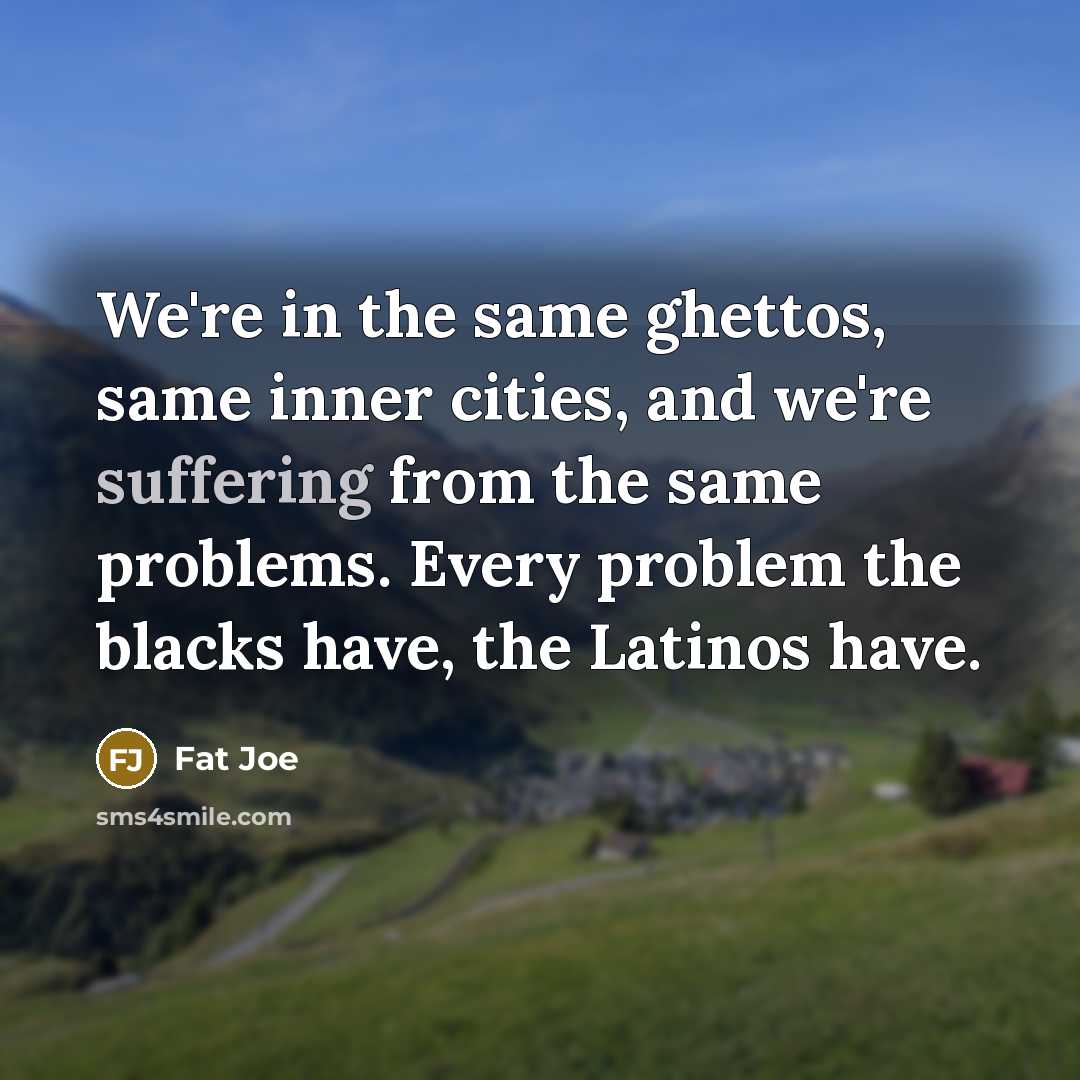 “We're in the same ghettos, same inner cities, and we're suffering from the same problems. Every problem the blacks have, the Latinos have.” quote by Fat Joe