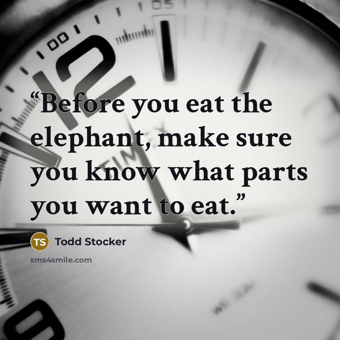 “Before you eat the elephant, make sure you know what parts you want to eat.” quote by Todd Stocker