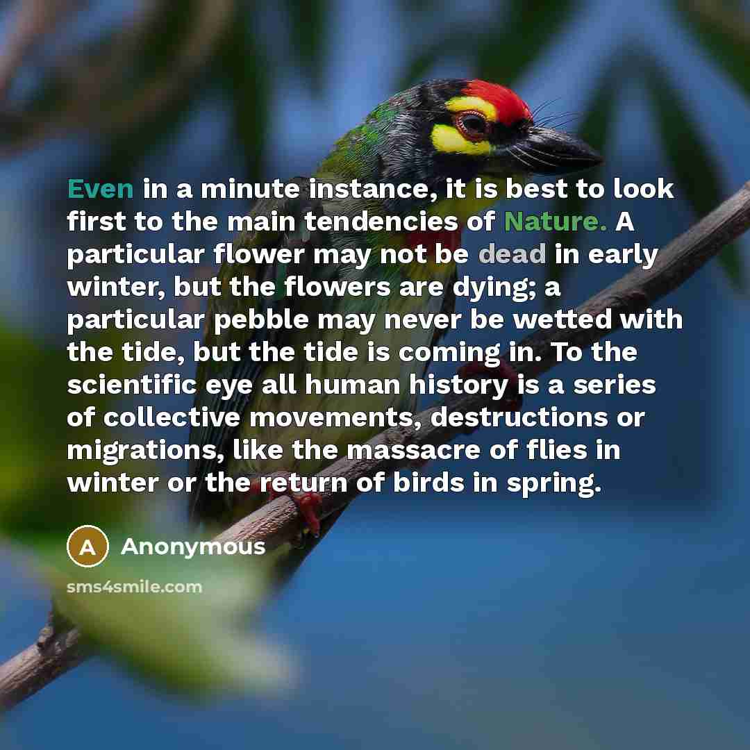 “Even in a minute instance, it is best to look first to the main tendencies of Nature. A particular flower may not be dead in early winter, but the flowers are dying; a particular pebble may never be wetted with the tide, but the tide is coming in. To the scientific eye all human history is a…” quote by Anonymous