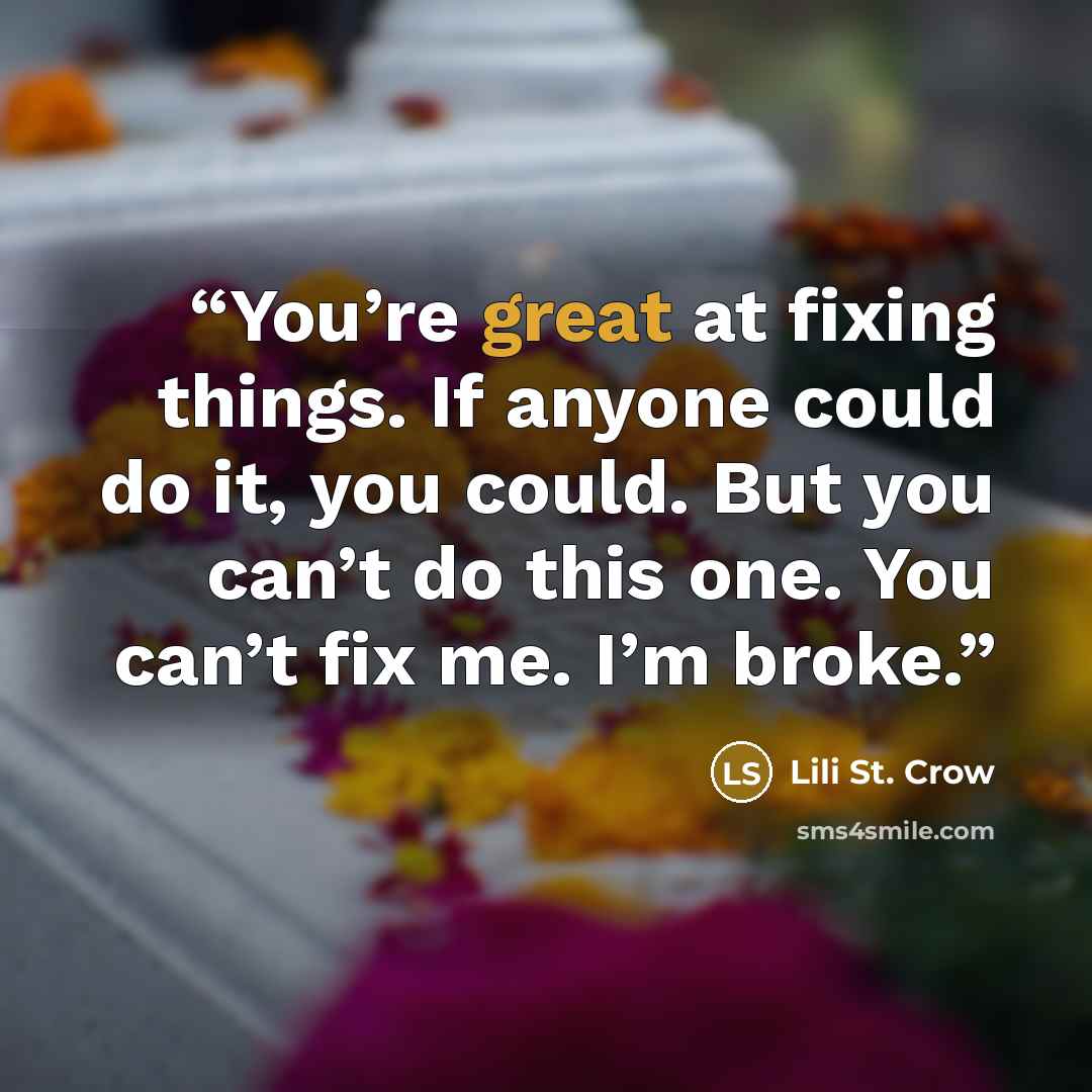 “You’re great at fixing things. If anyone could do it, you could. But you can’t do this one. You can’t fix me. I’m broke.” quote by Lili St. Crow