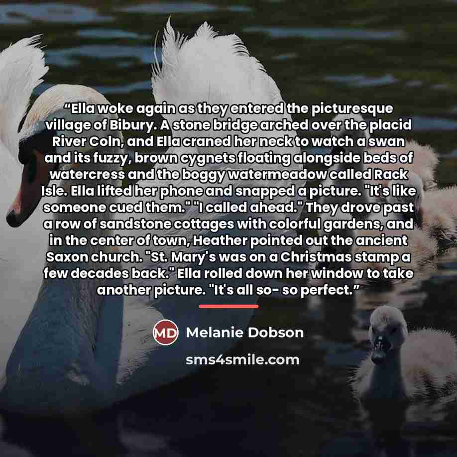 “Ella woke again as they entered the picturesque village of Bibury. A stone bridge arched over the placid River Coln, and Ella craned her neck to watch a swan and its fuzzy, brown cygnets floating alongside beds of watercress and the boggy watermeadow called Rack Isle. Ella lifted her phone and…” quote by Melanie Dobson